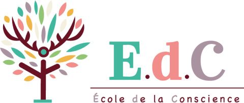 Logo-Edc-2020